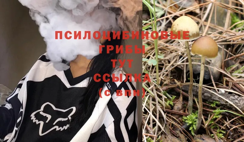 Галлюциногенные грибы Magic Shrooms  Ленск 